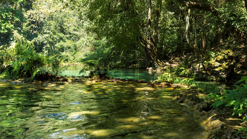 Природный памятник Семук Чампей (Semuc Champey) в Гватемале – фотографии Гватемалы