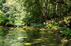Природный памятник Семук Чампей (Semuc Champey) в Гватемале – фотографии Гватемалы