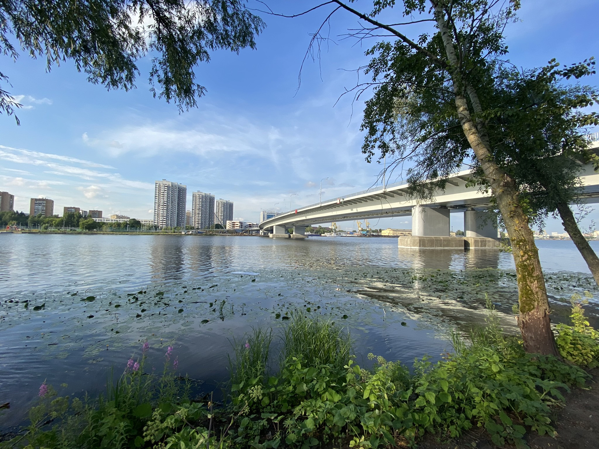 Вид с территории парка "Остров Мечты" на мост 2-го Южнопортового проезда, Москва – фотографии России