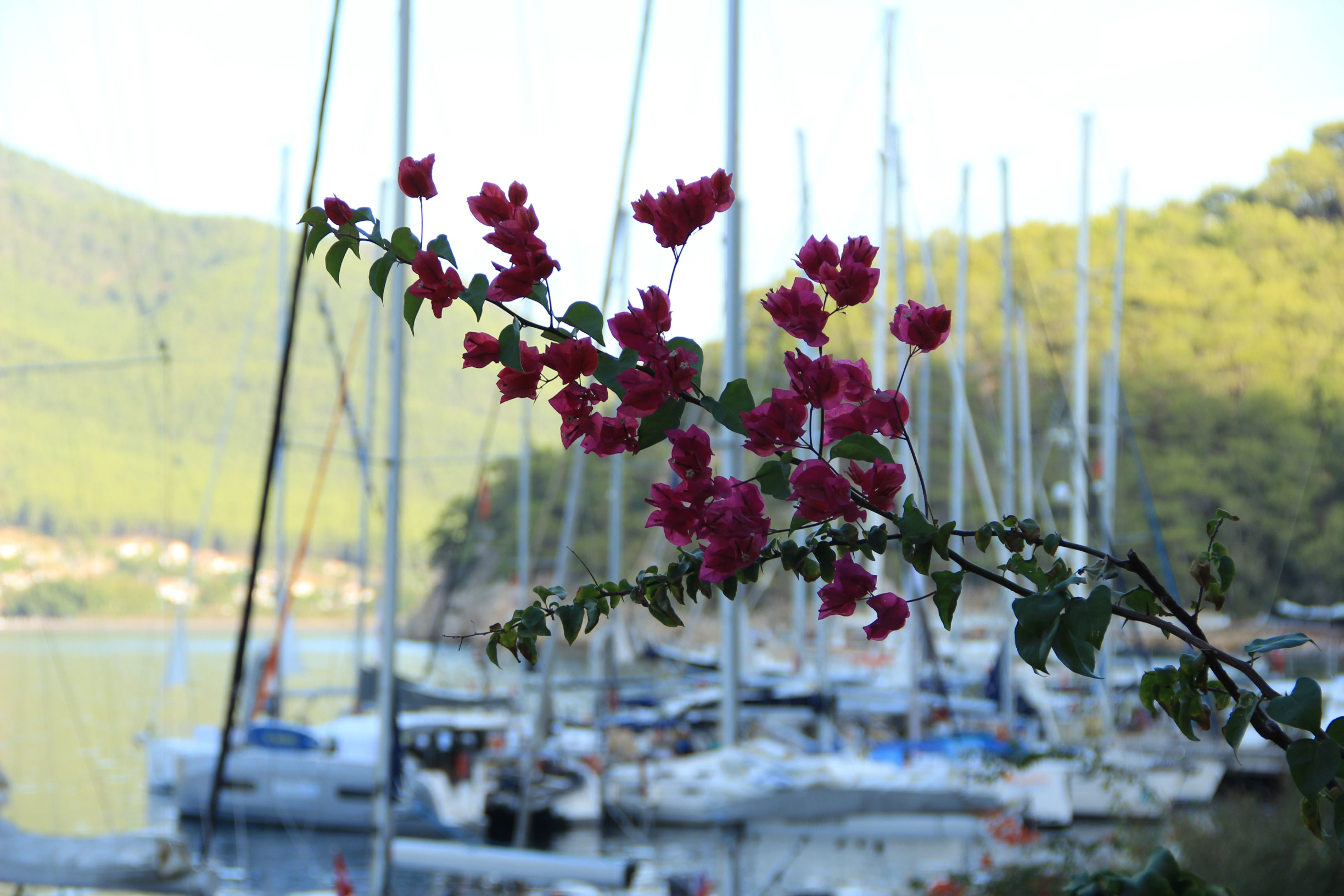 Май Марина, Экинчик – фотографии Турции