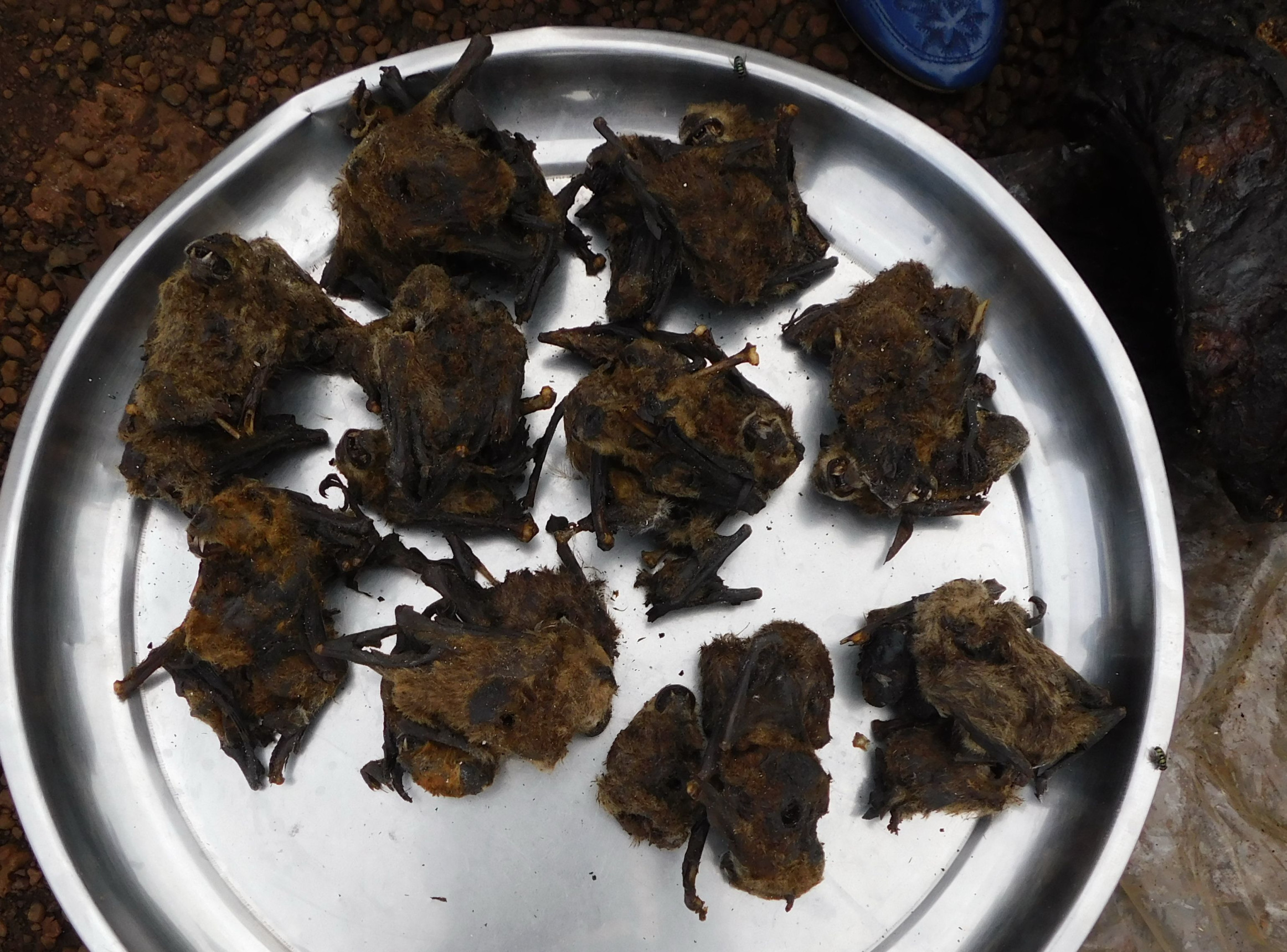 где-то в Африке – фотографии