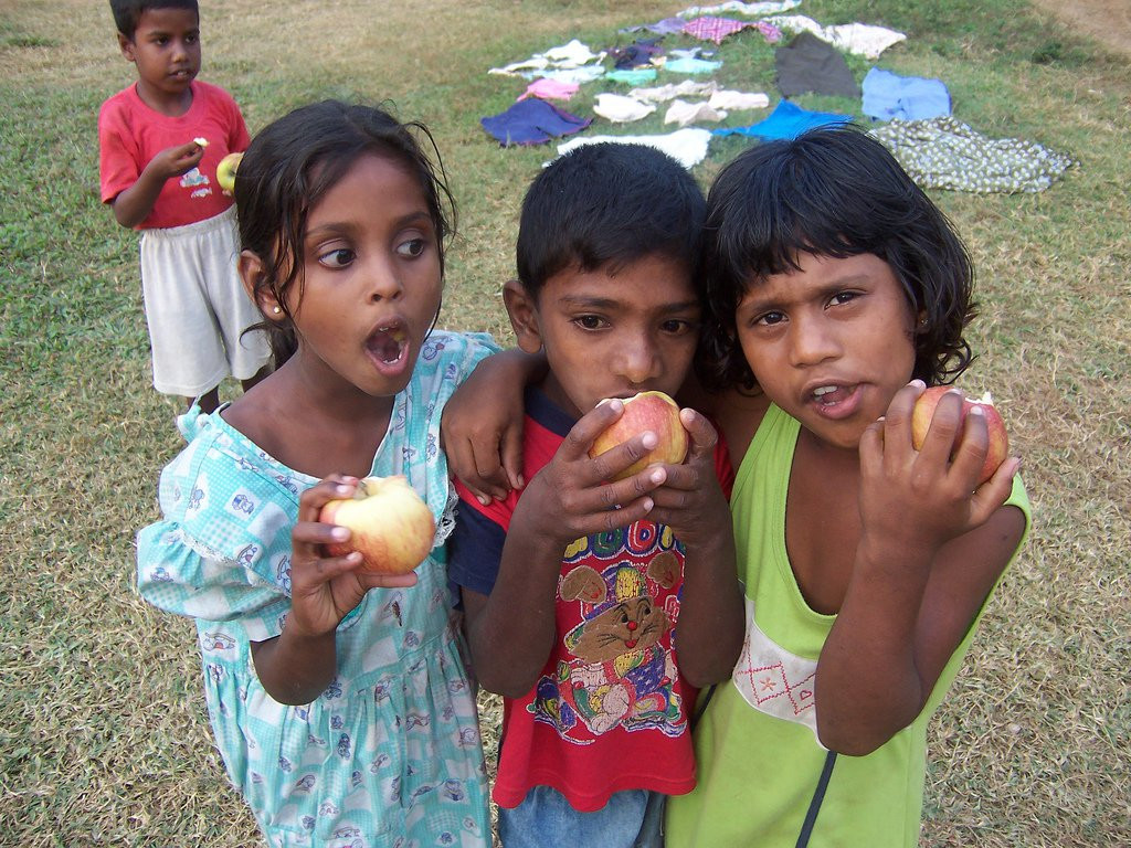 Калутара, Шри-Ланка, фото № 51242 – фотографии Шри-Ланки