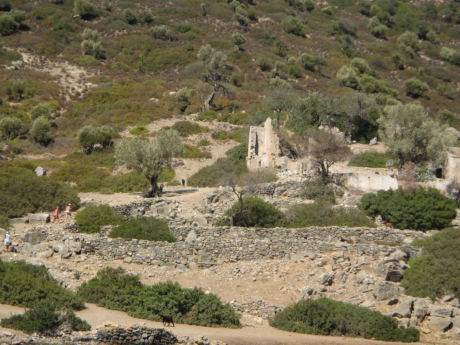 Мармарис, Эгейский регион, Турция, фото № 48004 – фотографии Турции