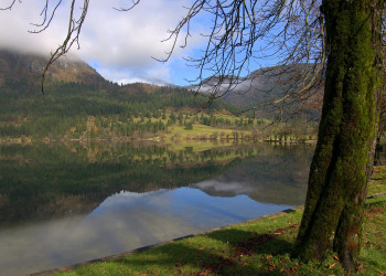Бохинь Озеро, Словения, фото № 56940 – фотографии Словении