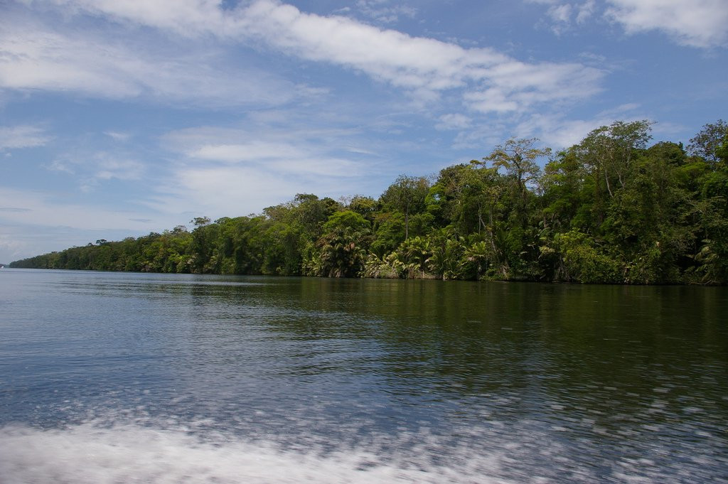 Тортугеро Национальный парк, Лимон провинция, Коста-Рика, фото № 40352 – фотографии Коста-Рики