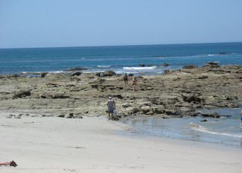 Пунта Леона, Пунтаренас провинция, Коста-Рика, фото № 41020 – фотографии Коста-Рики