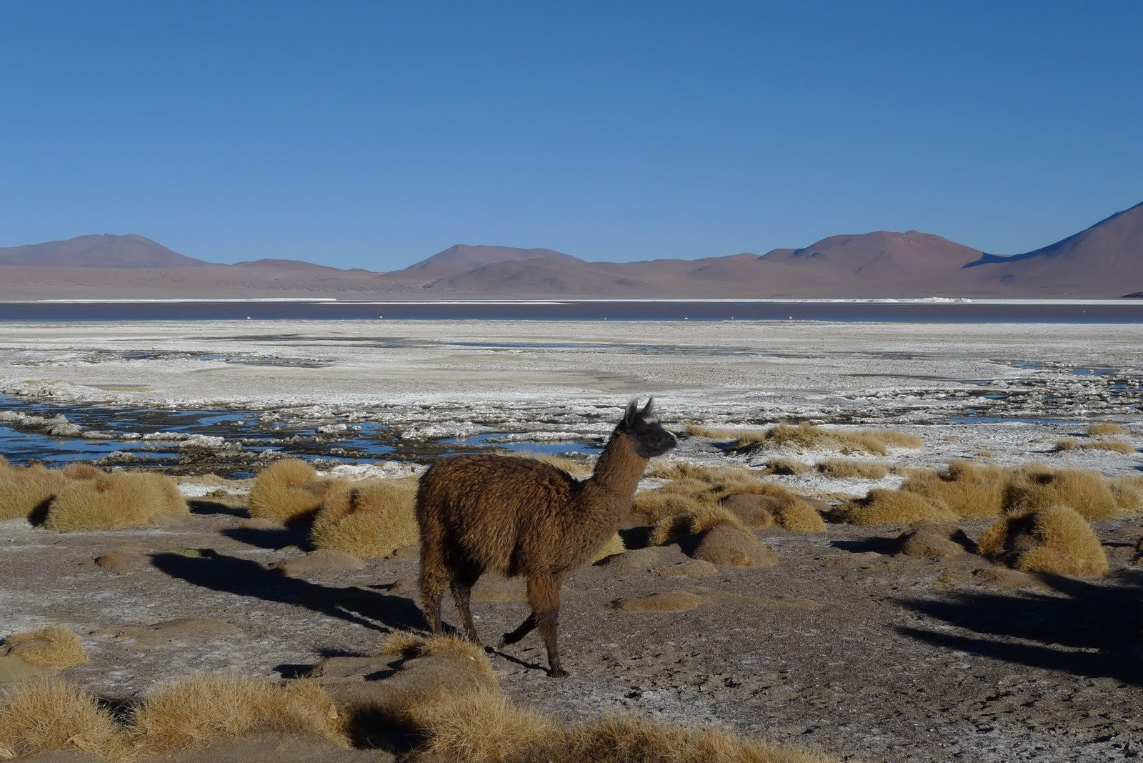 Боливия, фото № 2970 – фотографии Боливии