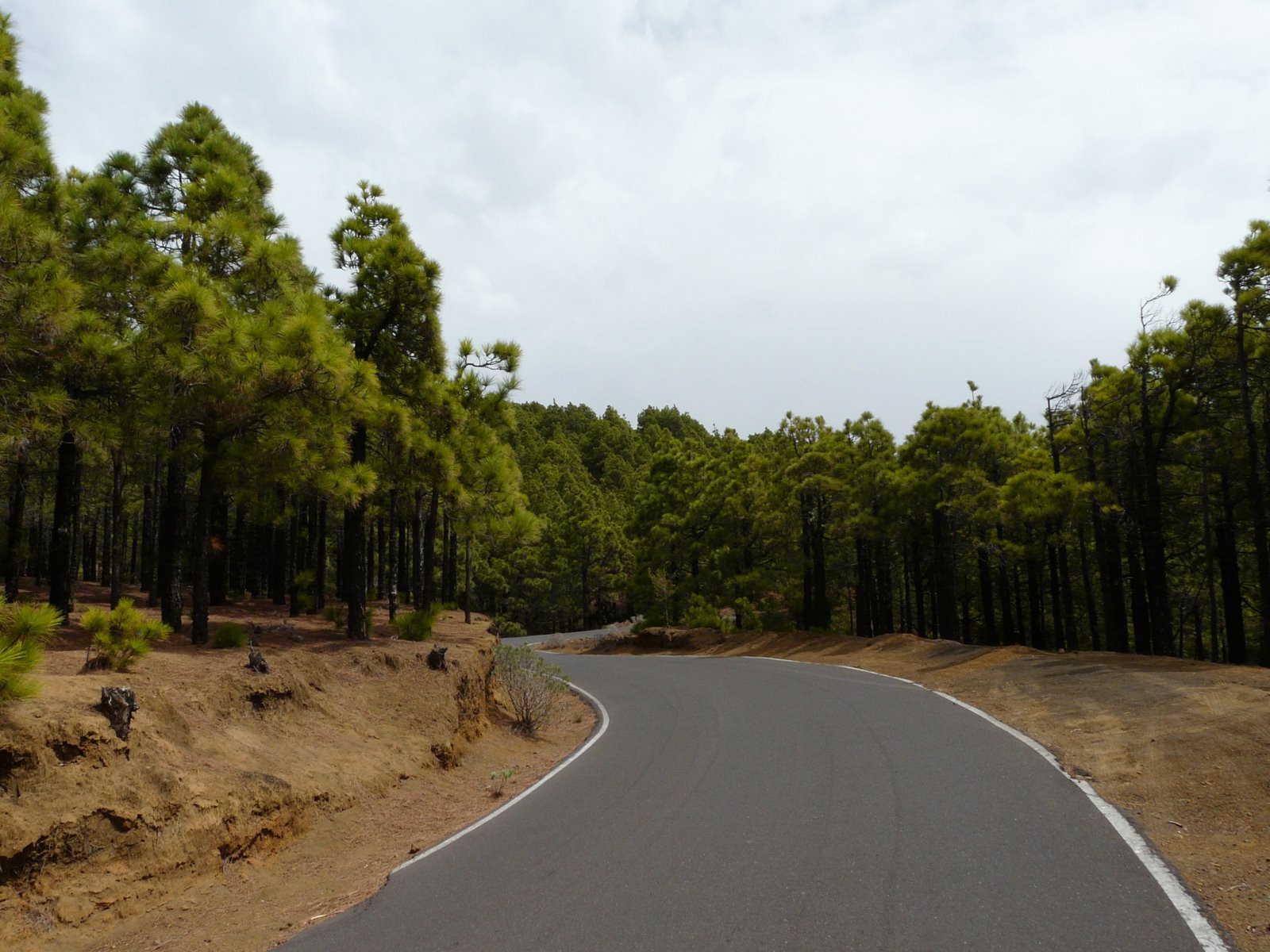 Эль-Йерро остров, Канарские острова, фото № 34688 – фотографии Канарских островов