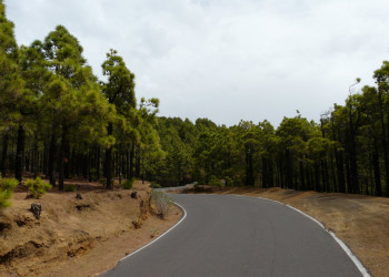 Эль-Йерро остров, Канарские острова, фото № 34688 – фотографии Канарских островов