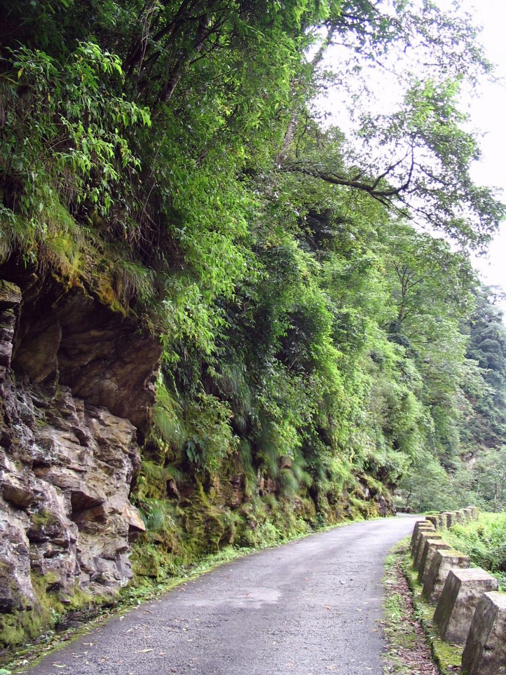 Бутан, фото № 4703 – фотографии Бутана