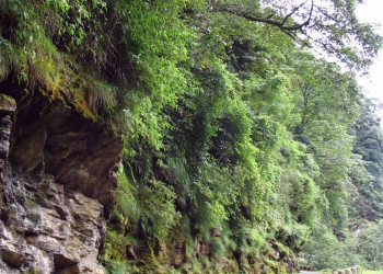 Бутан, фото № 4703 – фотографии Бутана