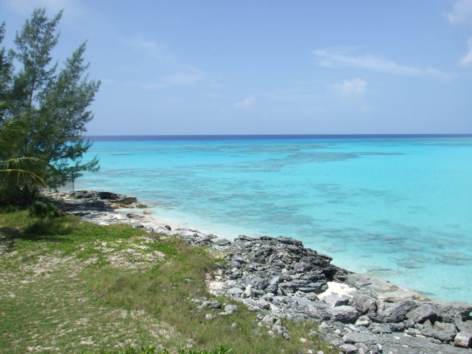 Берега на острове Сан-Сальвадор, Багамские острова. Фото 6 – фотографии Багамских островов