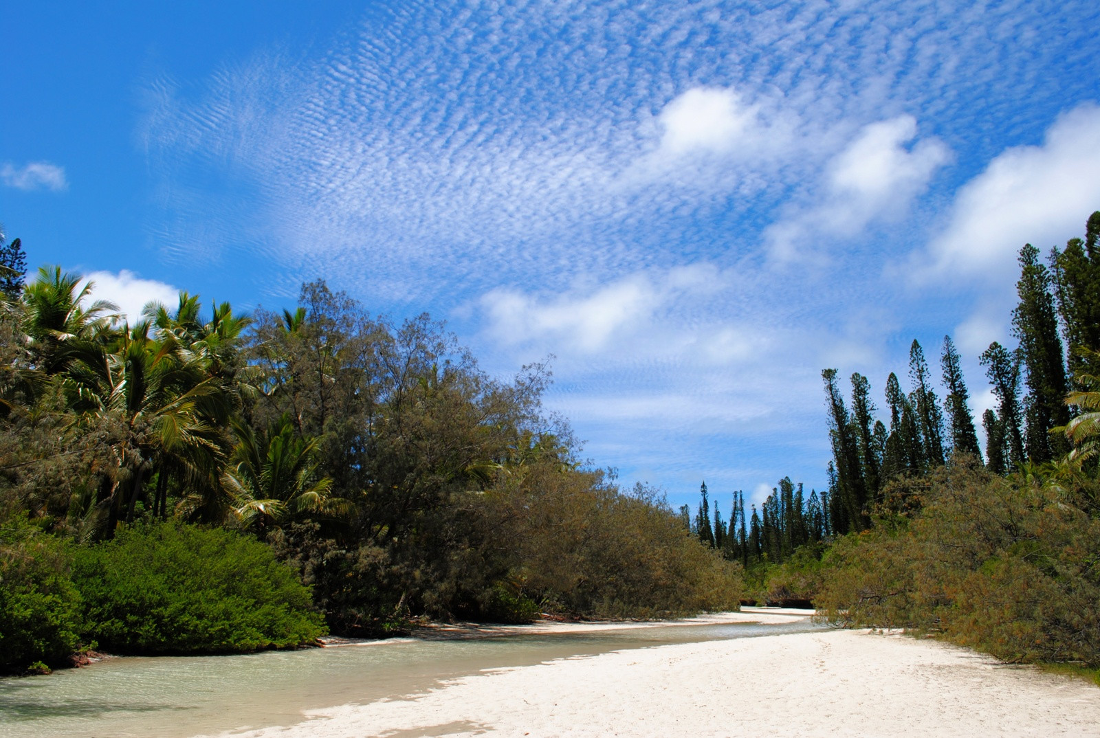 Остров Пен, Новая Каледония. Фото 1 – фотографии Новой Каледонии