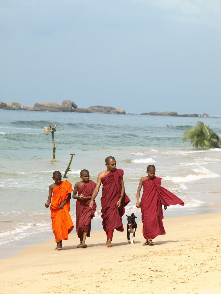 Хиккадува, Шри-Ланка, фото № 52555 – фотографии Шри-Ланки