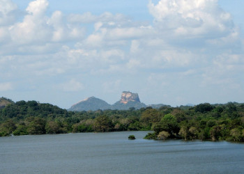 Кандалама, Шри-Ланка, фото № 51285 – фотографии Шри-Ланки