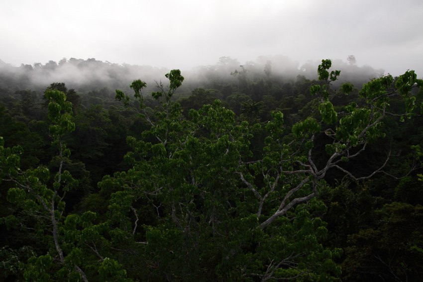 Французская Гвиана, фото № 2131 – фотографии Французской Гвианы