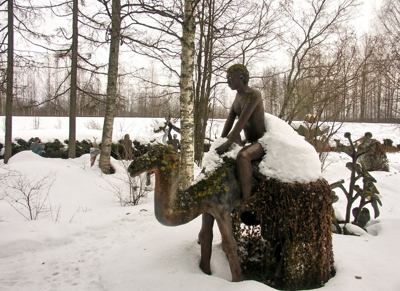 Мистический лес Patsaspuisto – фотографии Финляндии