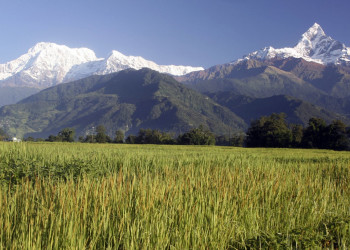 Аннапурна заповедник, Непал, фото № 78894 – фотографии Непала