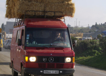 Тетуан, Марокко, фото № 8182 – фотографии Марокко