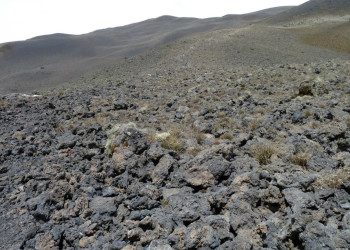 Камерун, фото № 3750 – фотографии Камеруна