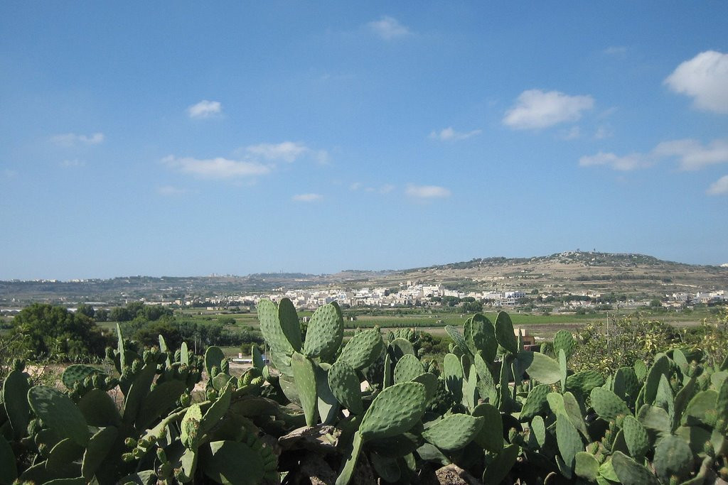 Аура-Буджибба, Мальта остров, Мальта, фото № 41955 – фотографии Мальты