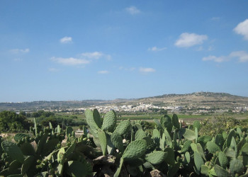 Аура-Буджибба, Мальта остров, Мальта, фото № 41955 – фотографии Мальты