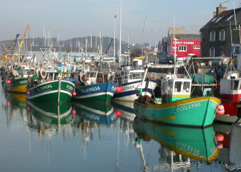 Лодки и парусники в Пэмполе, Франция. Фото 3 – фотографии Франции
