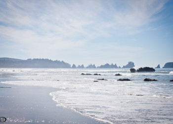 Пляж Ши-Ши и другие красоты национального парка Олимпик – фотографии США
