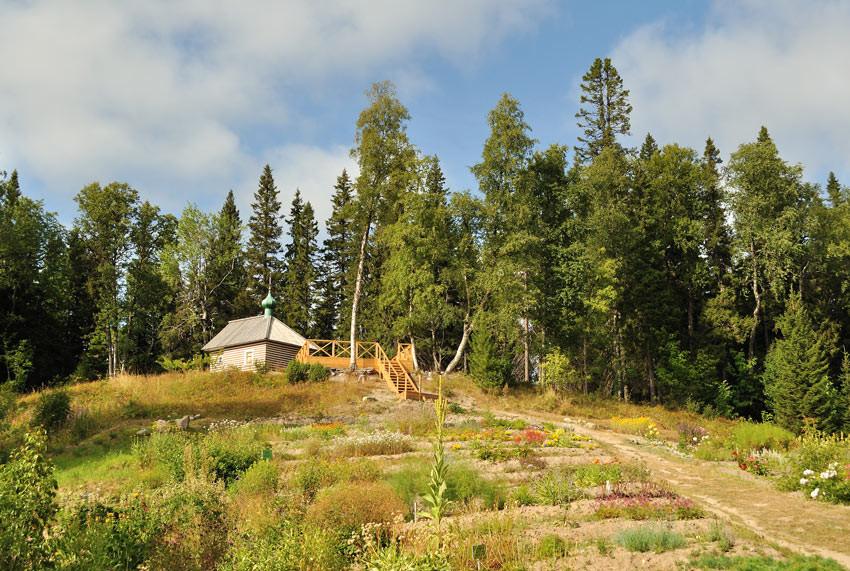 Ботанический сад на Соловках. Фото 1 – фотографии России