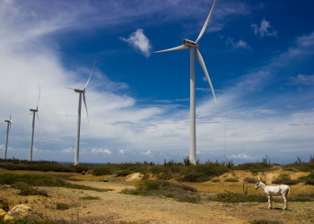 Ветряные источники энергии в Арубе – фотографии Арубы