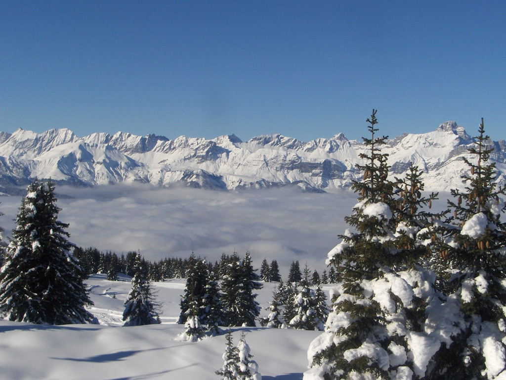 Пейзаж в Шамони, Франция – фотографии Франции