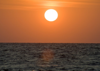 Негомбо, Шри-Ланка, фото № 51969 – фотографии Шри-Ланки