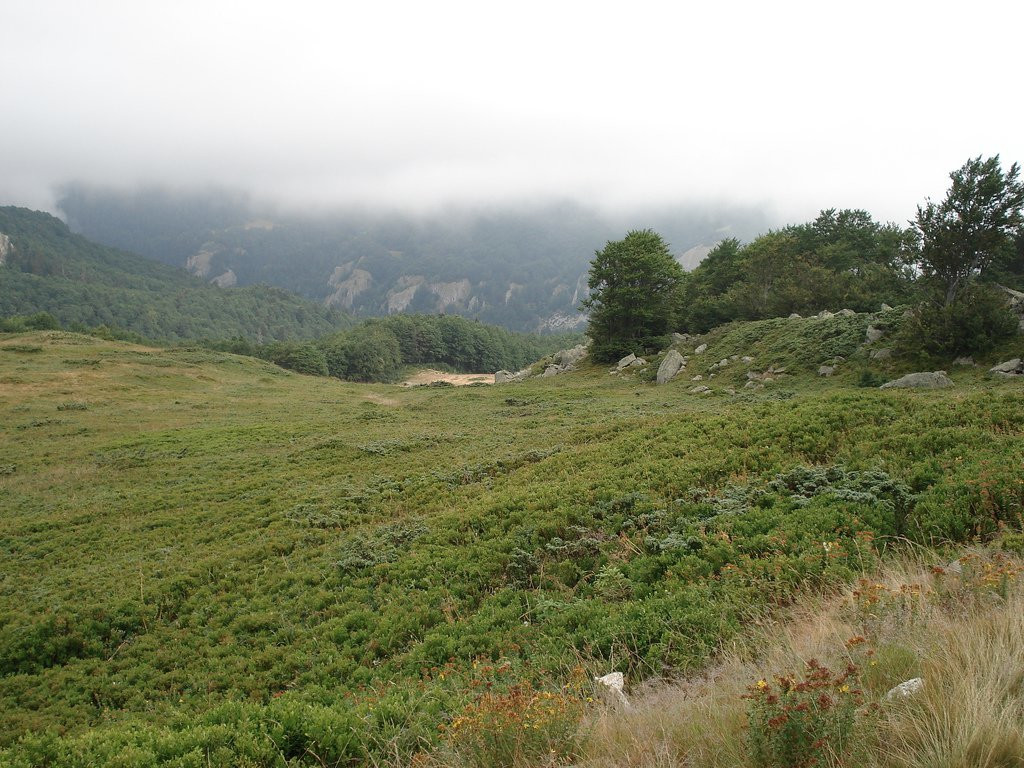 Национальный парк, Черногория. Фото 26 – фотографии Черногории