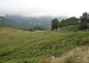 Национальный парк, Черногория. Фото 26 – фотографии Черногории