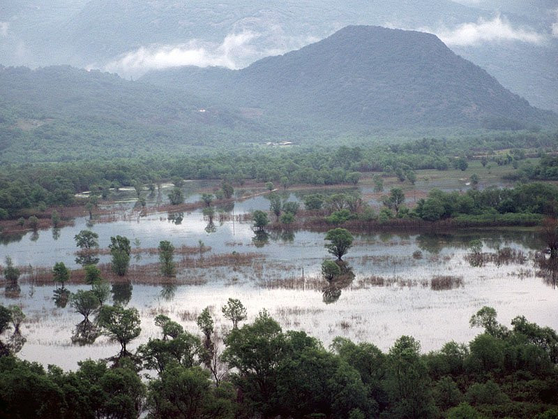 Природа Национального парка, Черногория. Фото 15 – фотографии Черногории