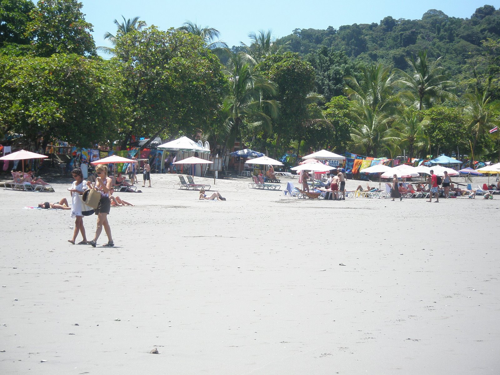 Мануэль Антонио, Пунтаренас провинция, Коста-Рика, фото № 40626 – фотографии Коста-Рики