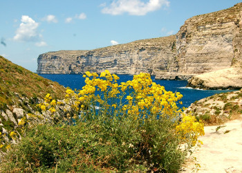 Шленди-Бэй, Гозо остров, Мальта, фото № 41726 – фотографии Мальты