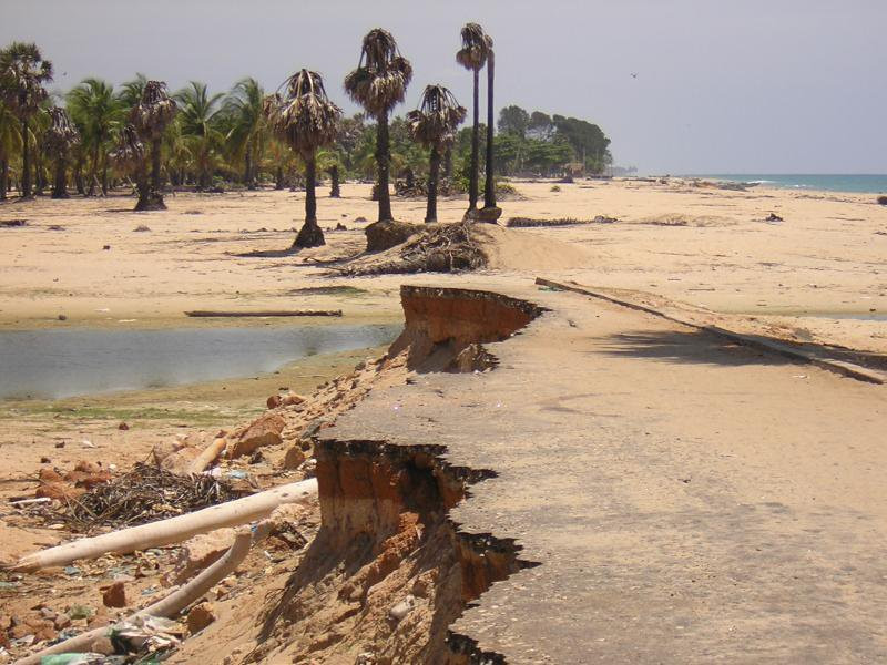 Шри-Ланка, фото № 1162 – фотографии Шри-Ланки