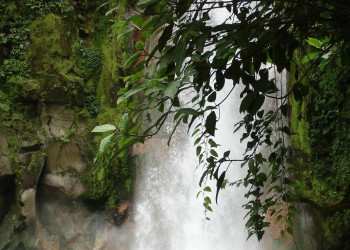 Коста-Рика, фото № 785 – фотографии Коста-Рики