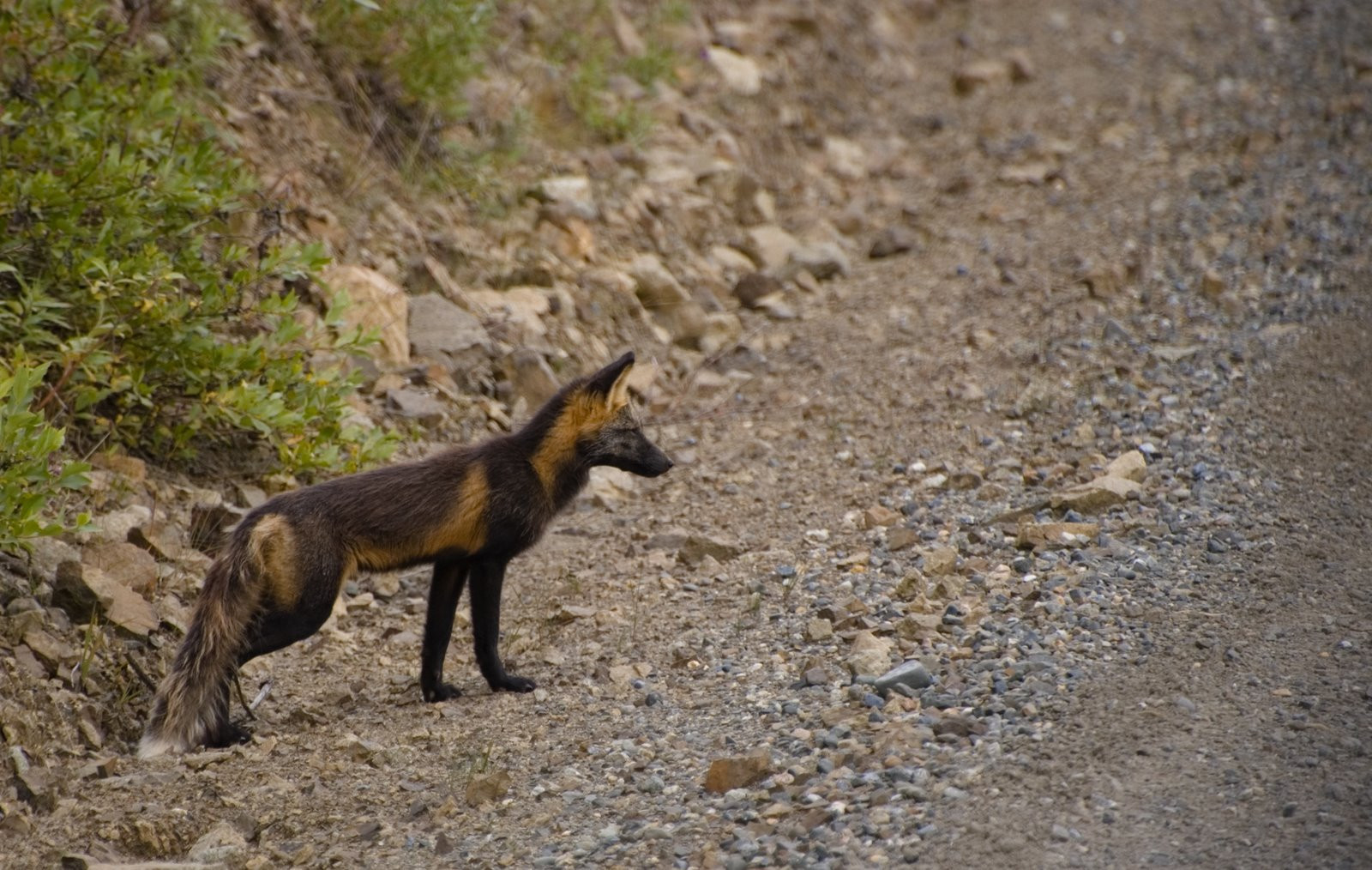 Аляска штат, США, фото № 67676 – фотографии США