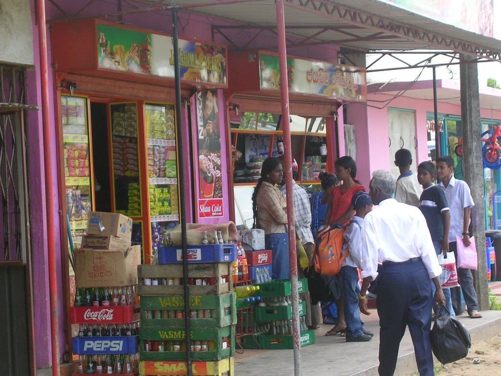 Велигама, Шри-Ланка, фото № 50846 – фотографии Шри-Ланки