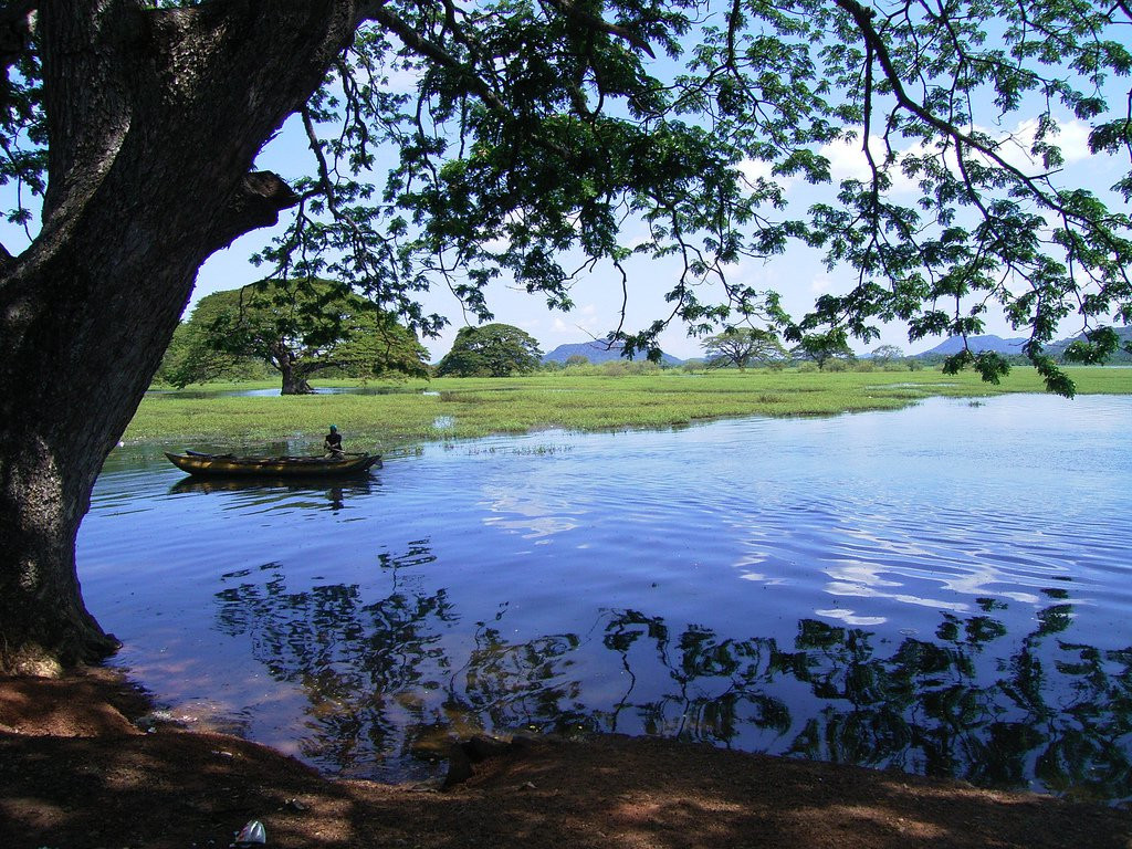 Хабарана, Шри-Ланка, фото № 52480 – фотографии Шри-Ланки