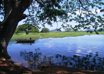 Хабарана, Шри-Ланка, фото № 52480 – фотографии Шри-Ланки