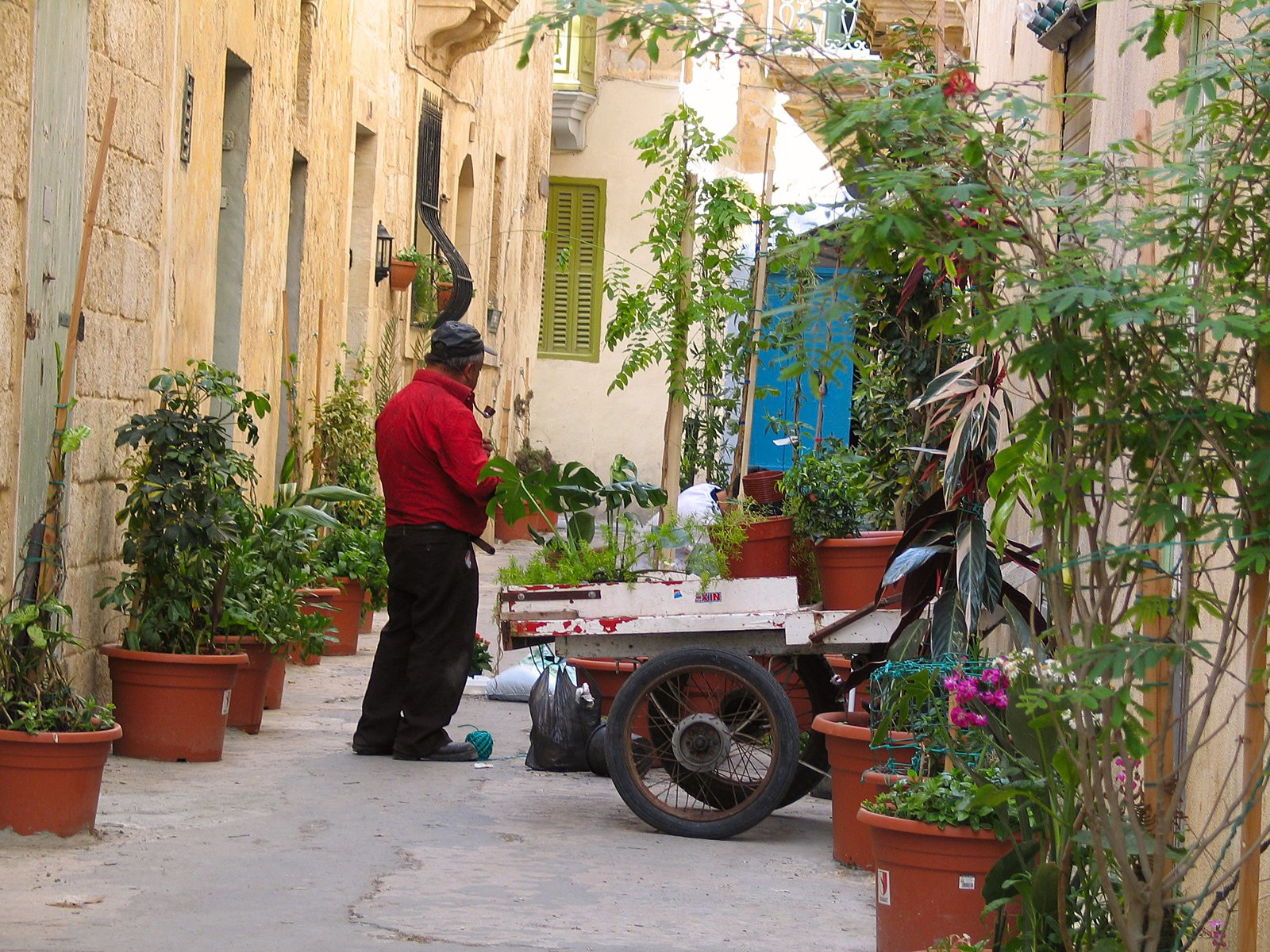 Рабат, Мальта остров, Мальта, фото № 42734 – фотографии Мальты