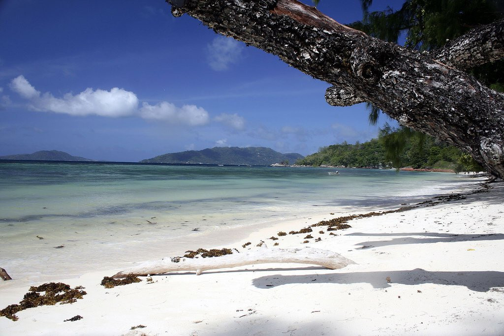 Пляж на острове Праслин, Сейшелы. Фото 4 – фотографии Сейшельских островов
