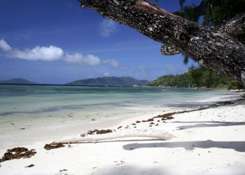 Пляж на острове Праслин, Сейшелы. Фото 4 – фотографии Сейшельских островов