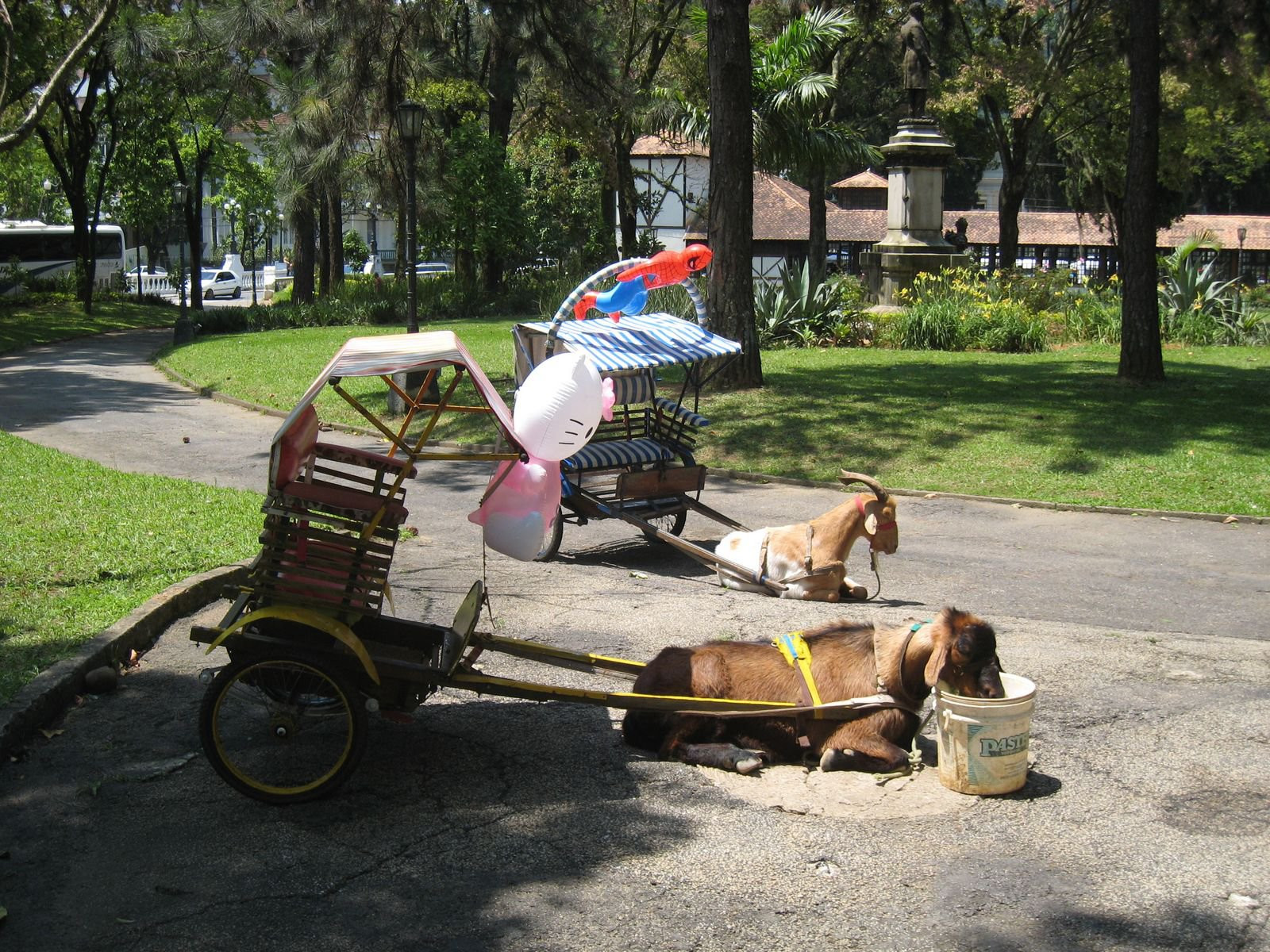 Петрополис, Бразилия, фото № 59824 – фотографии Бразилии