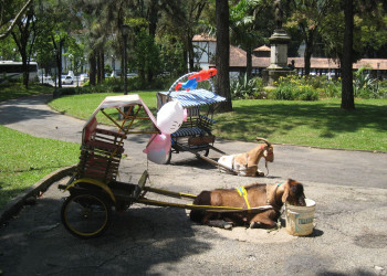 Петрополис, Бразилия, фото № 59824 – фотографии Бразилии