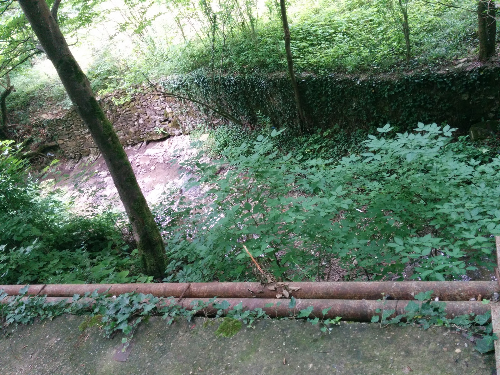 Горная речка в посёлке Южный – фотографии России