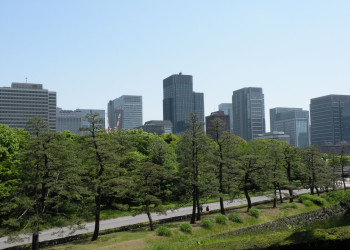 Tokyo – фотографии Японии